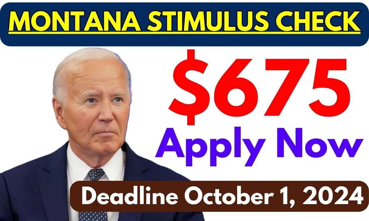 675 Stimulus Check apply