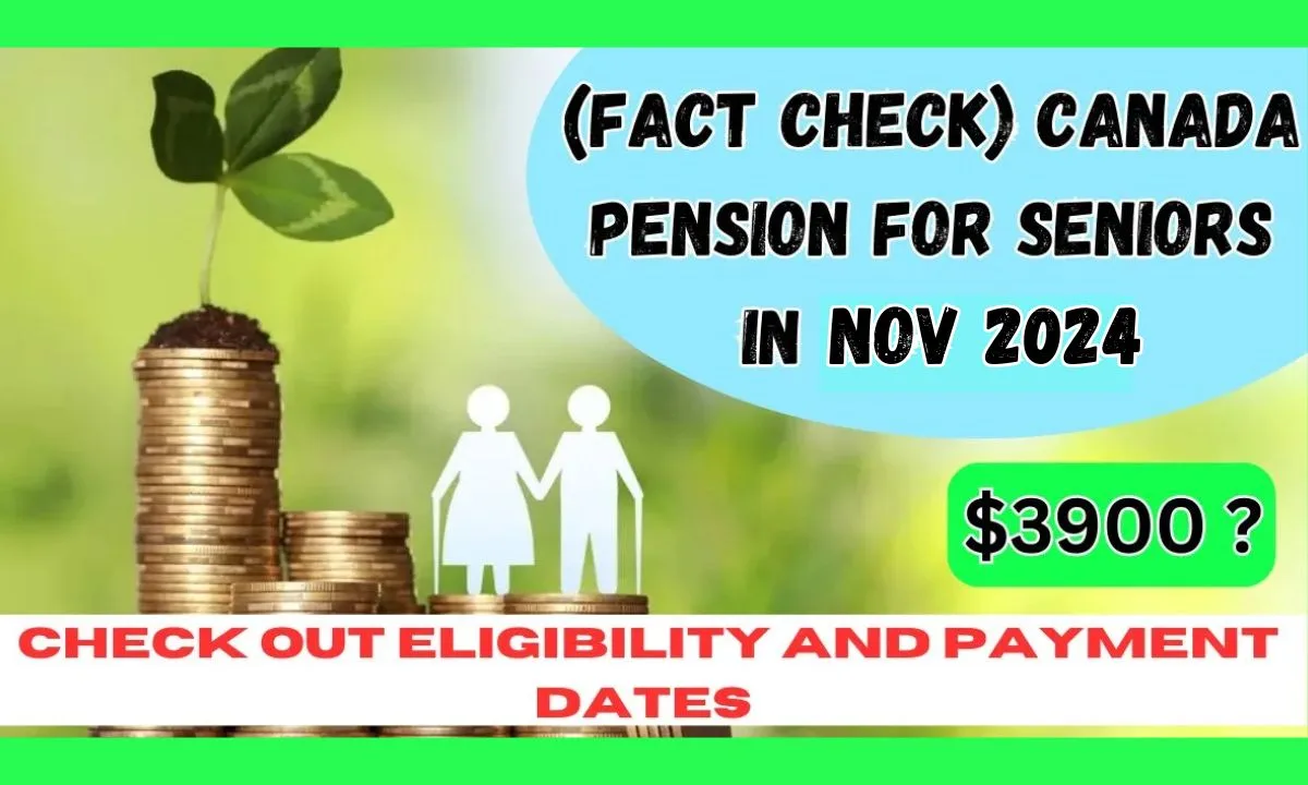 Canada $3900 Pension for Seniors in Nov 2024