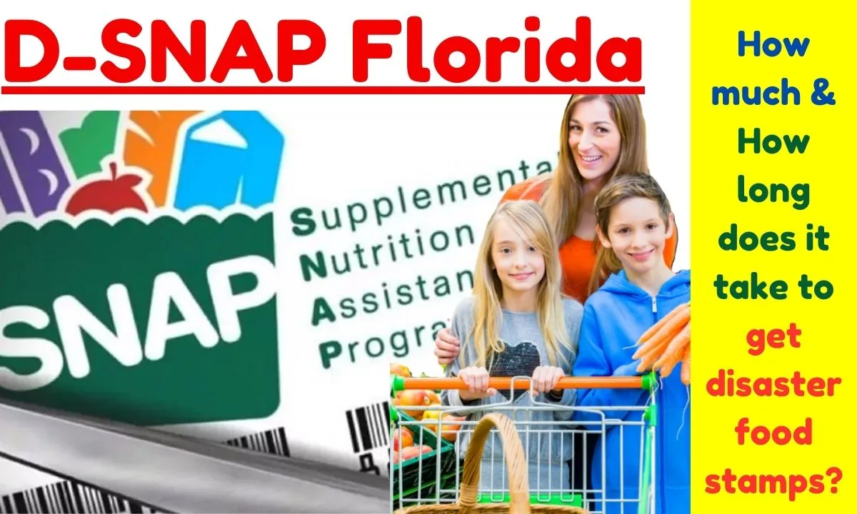 DSNAP Florida How much & How long does it take to get disaster food