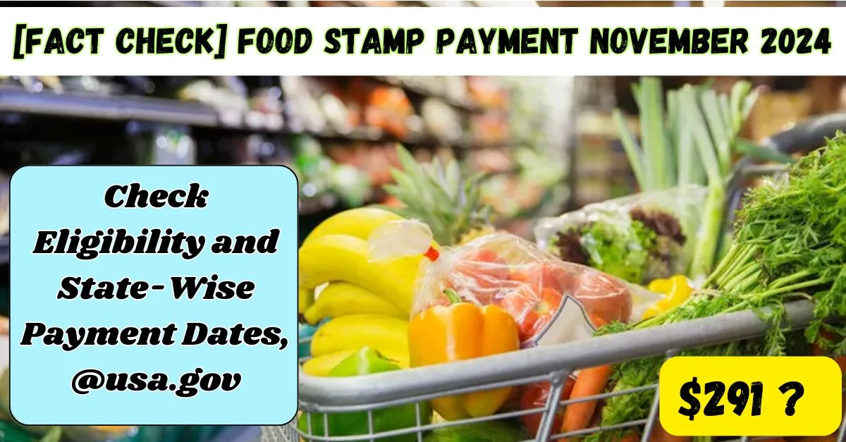 Fact Check 291 Food Stamp Payment November 2024 min jpg