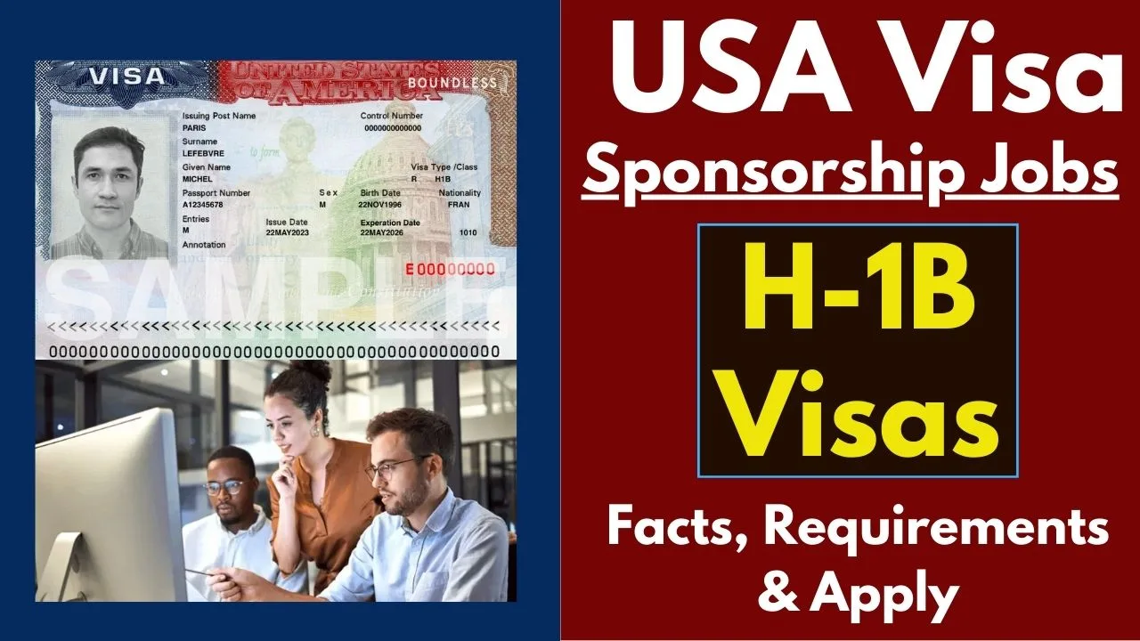 USA Visa Sponsorship Jobs