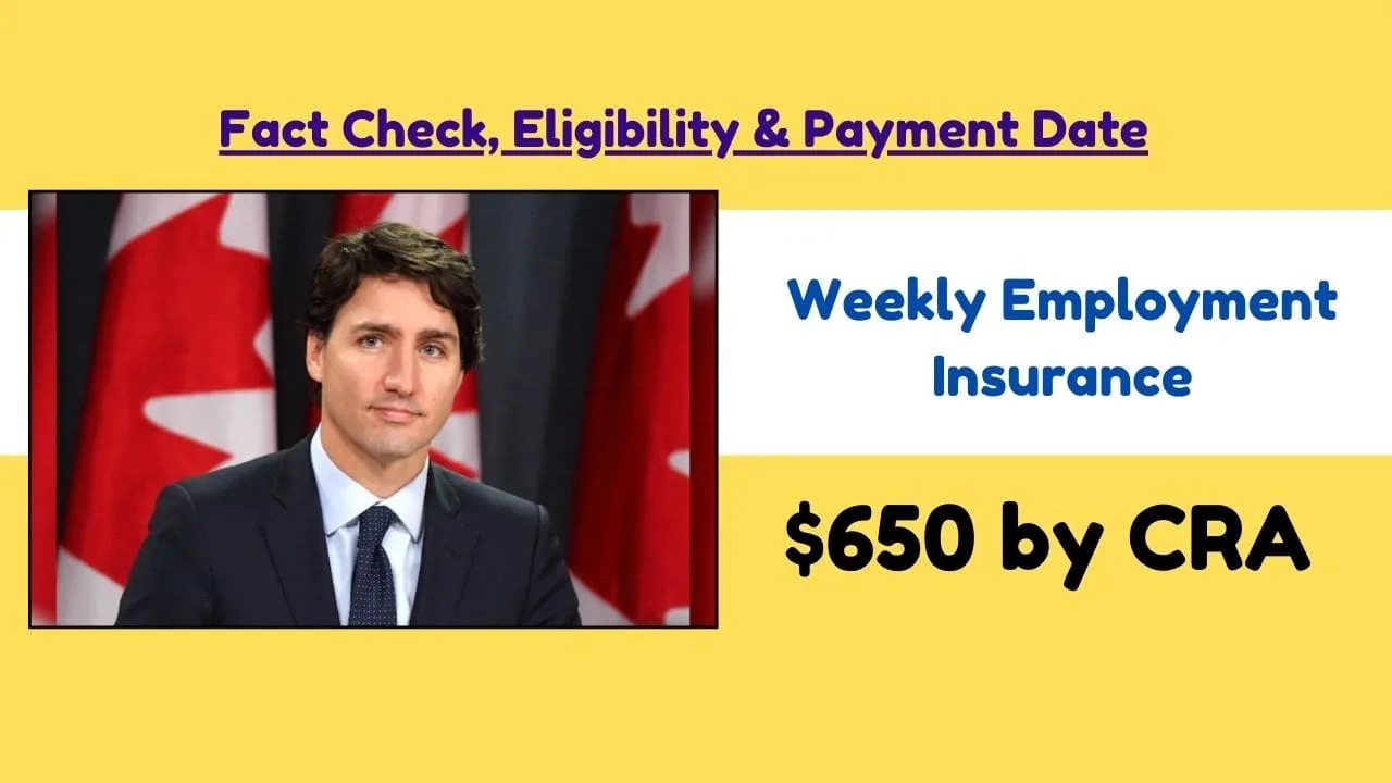 Weekly Employment Insurance $650 by CRA