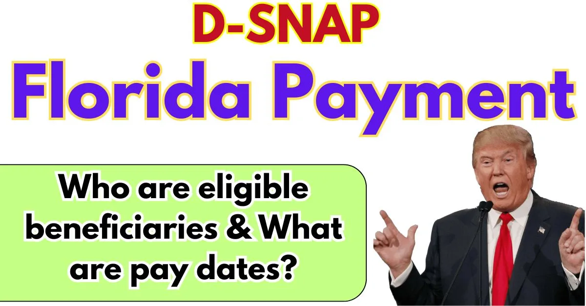 D-SNAP Florida Payment 