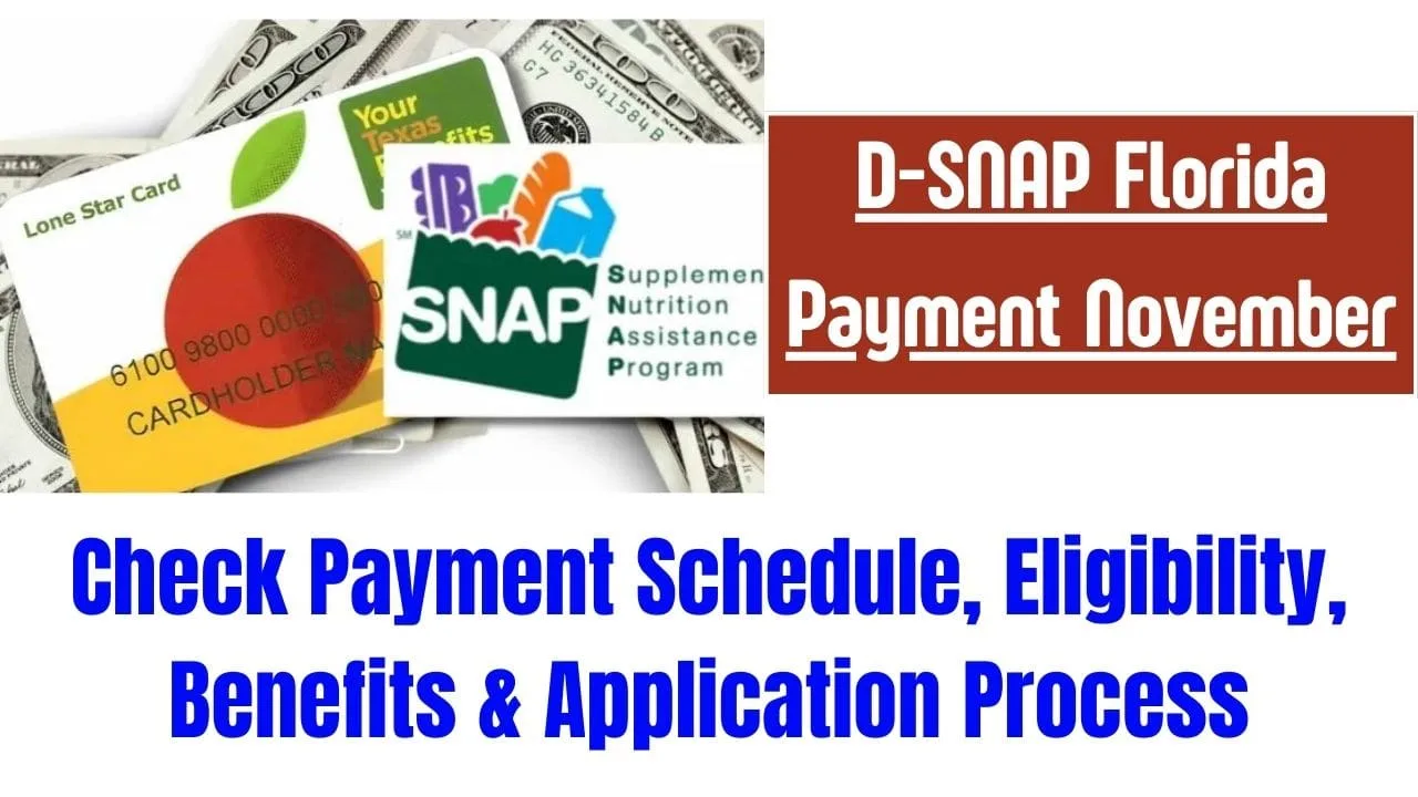 D SNAP Florida Payment November min jpg