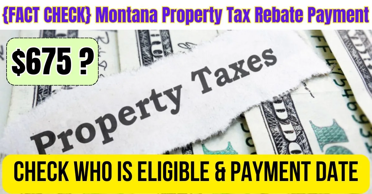 Montana Property Tax Rebate Payment