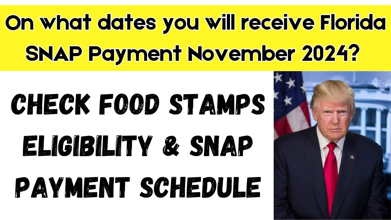 Florida SNAP Payment November 2024