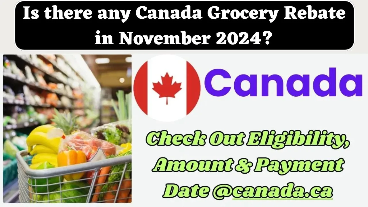 Is there any Canada Grocery Rebate in November 2024 min jpg