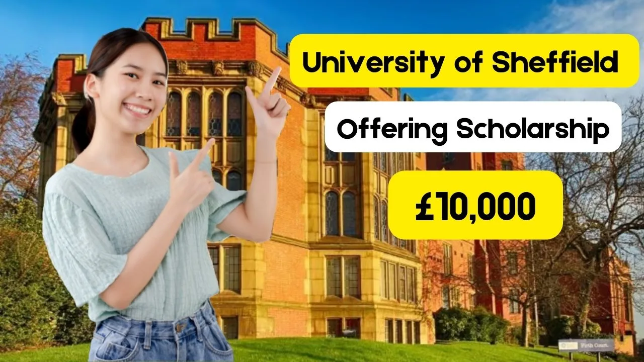 Sheffield University Scholarship 2024-25