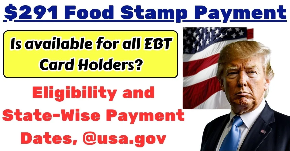 $291 Food Stamp Payment 