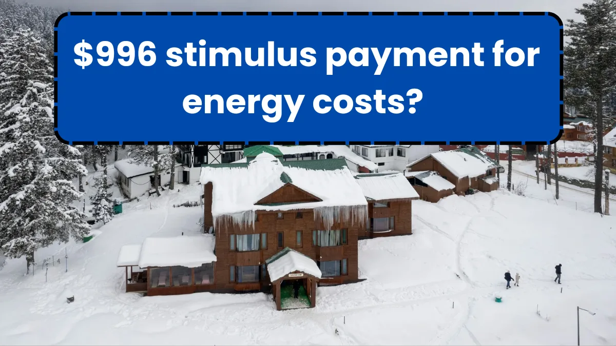 $996 energy cost stimulus payment